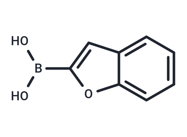 2-Benzofurylboronic acid