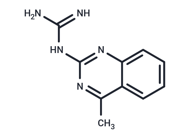 GMQ