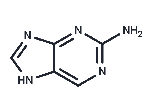 2-Aminopurine