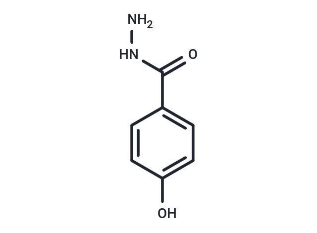 4-Hydroxybenzhydrazide