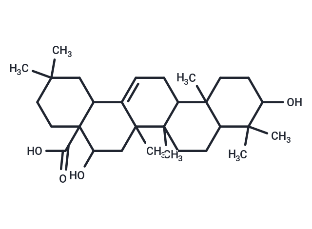 Echinocystic acid