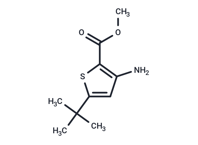 methyl 3-amino-5-tert-butylthiophene-2-carboxylate