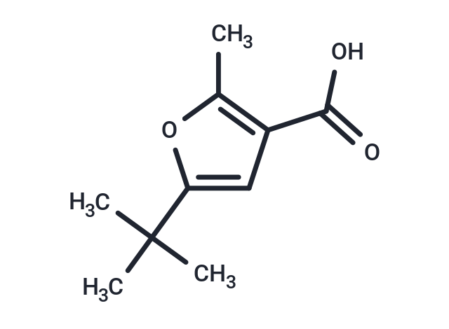 5-TERT-BUTYL-2-METHYLFURAN-3-CARBOXYLIC ACID