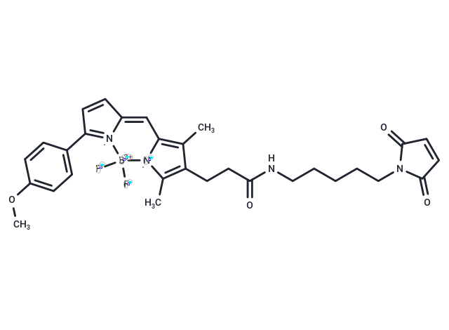 BODIPY TMR C5-maleimide
