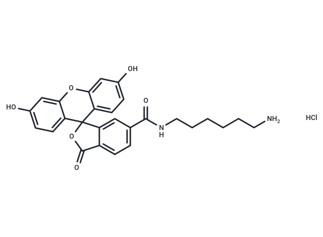 FAM amine, 6-isomer