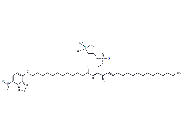 C12 NBD Sphingomyelin