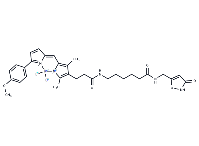 Bodipy TMR-X muscimol