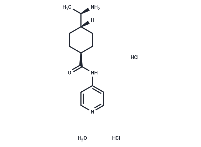 Y-27632 HCl hydrate