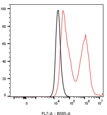 Anti-PD-L1 Monoclonal Antibody-Biotin