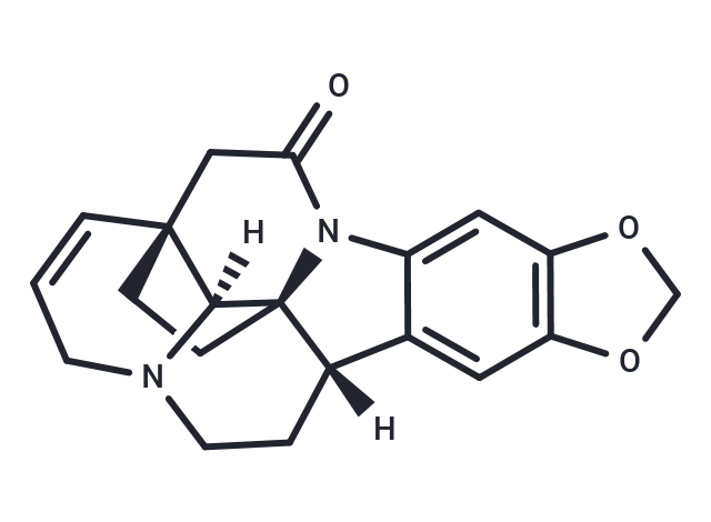 Schizozygine