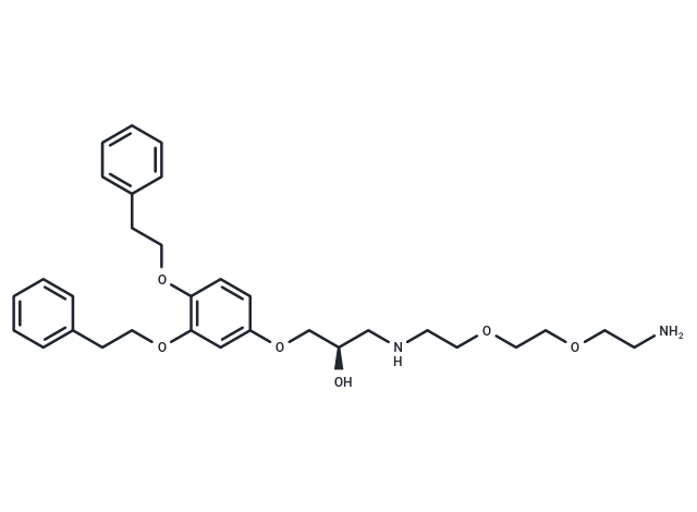 p62-ZZ Ligand-Linker Conjugate 1