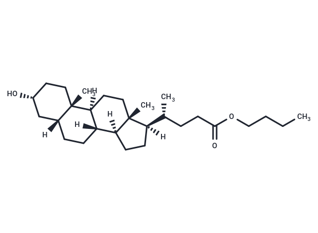 N-butyl Lithocholic Acid