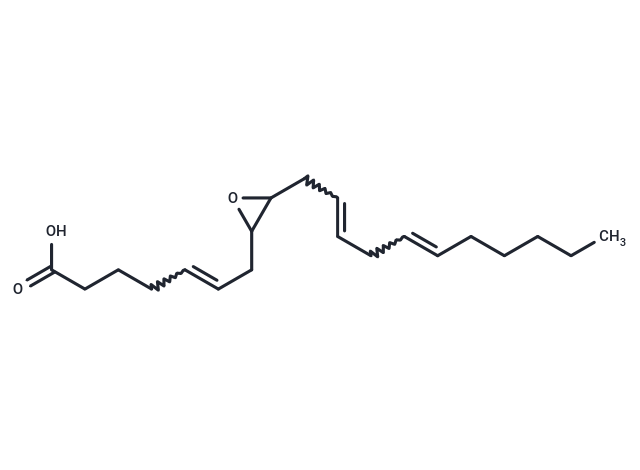 8,9-Epoxyeicosatrienoic acid