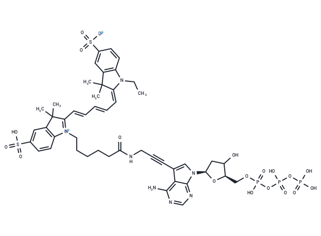 Cy5-dATP