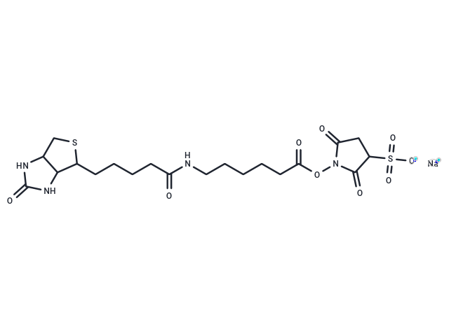 Sulfosuccinimidyl-6-(biotinamido)hexanoate sodium