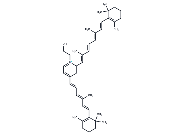 Pyridinium bisretinoid A2E