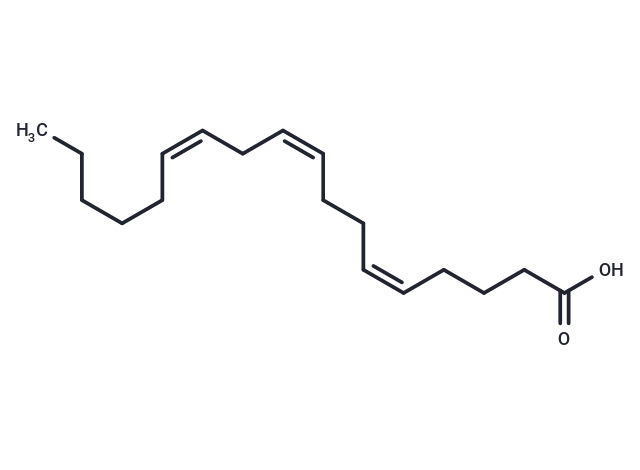 Pinolenic Acid