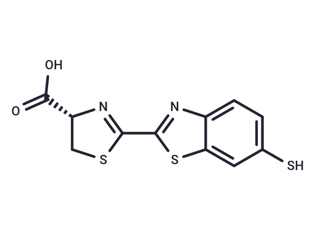 Thioluciferin
