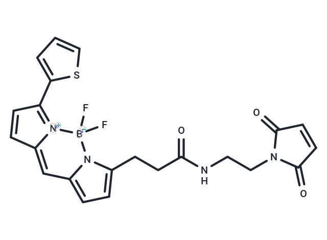 BDP 558/568 maleimide