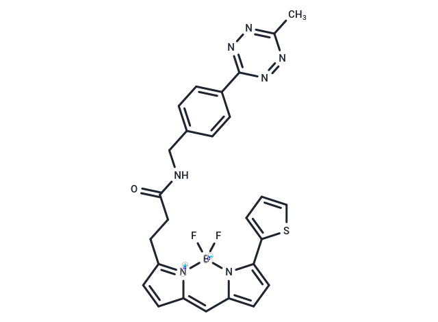BDP 558/568 tetrazine