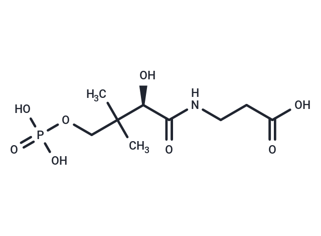Phosphopantothenic acid