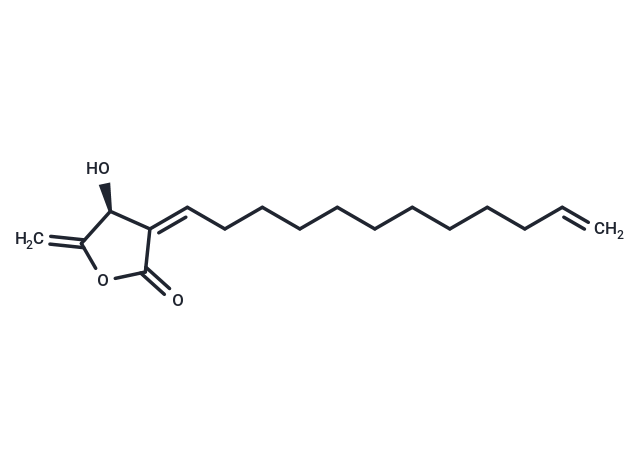 Obtusilactone