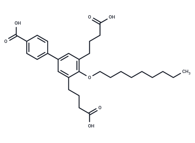 SHP2 inhibitor CNBDA