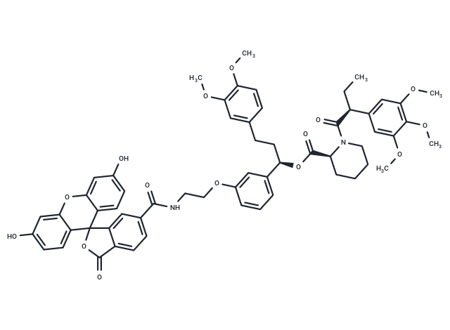 dTAG-Fluorescein