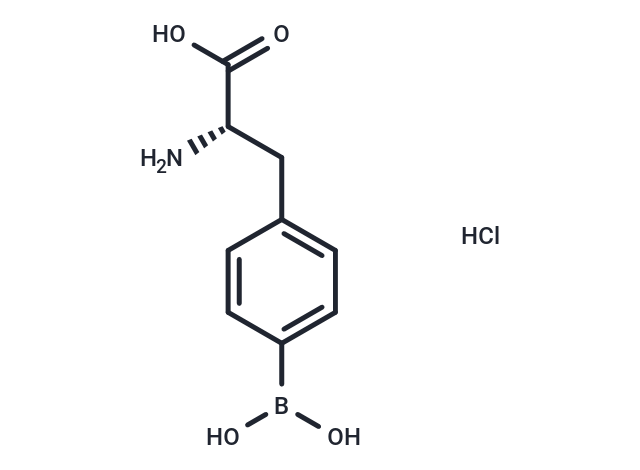 Boronophenylalanine HCl