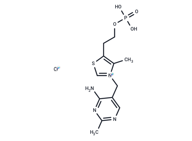 Monophosphothiamine