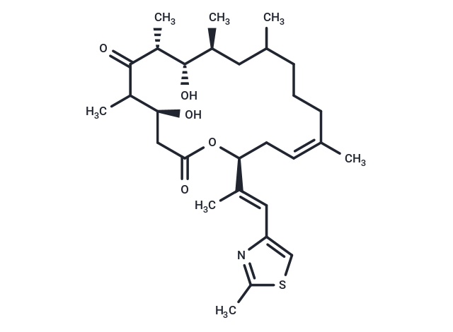 Epothilone D1