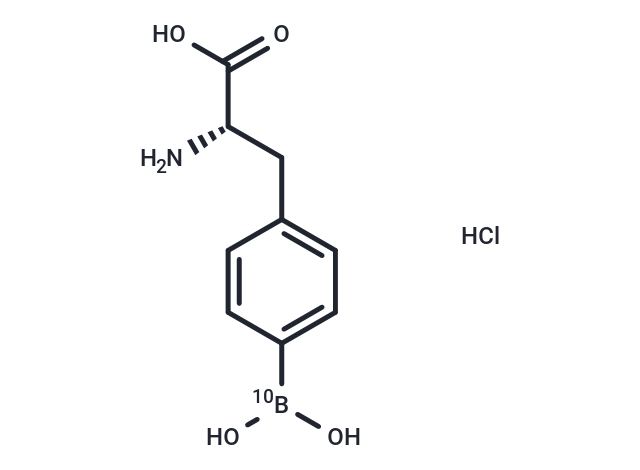 Boronophenylalanine B-10 HCl
