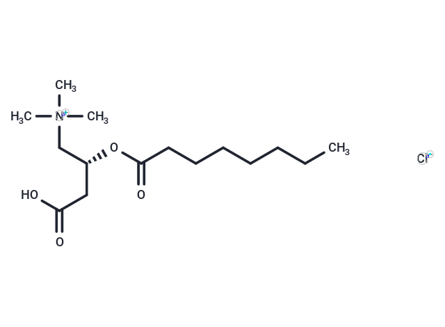 L-Octanoylcarnitine hydrochloride (Standard)