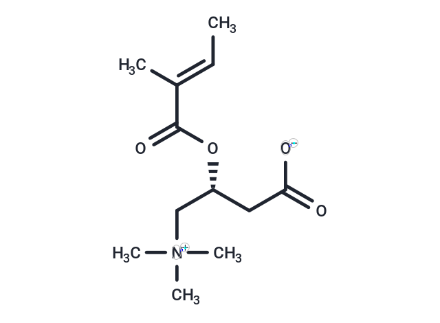 Tiglylcarnitine (Standard)