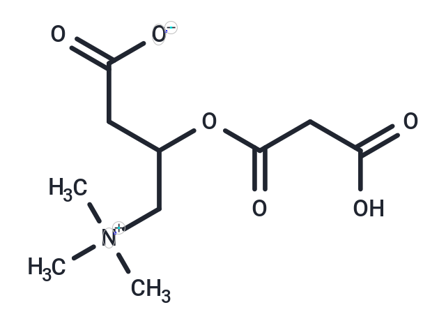 Malonylcarnitine (Standard)