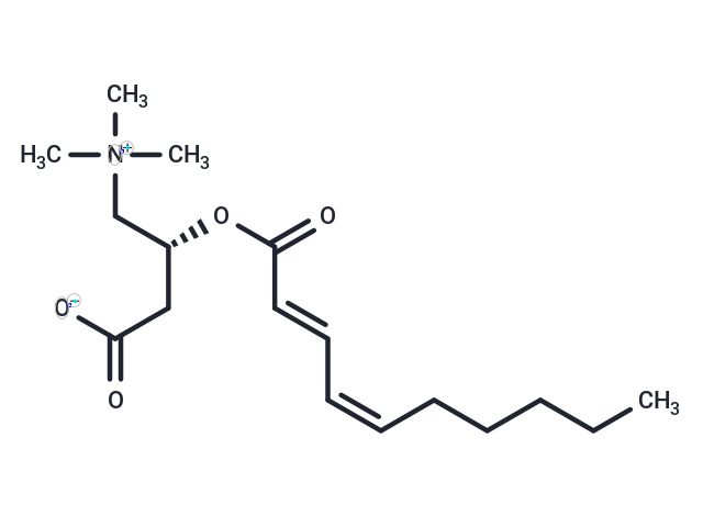 2-Trans, 4-Cis-Decadienoyl-L-carnitine (Standard)