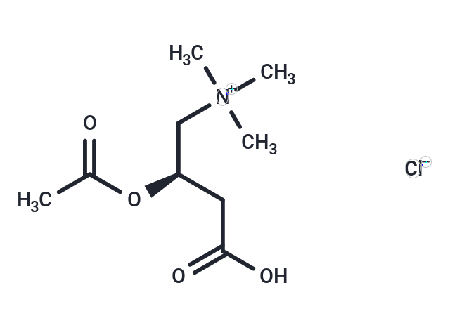 Acetyl L-carnitine hydrochloride (Standard)