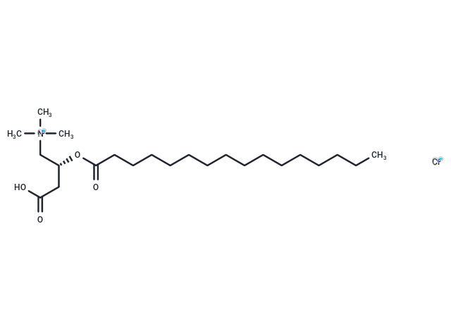 L-Palmitoylcarnitine chloride (Standard)