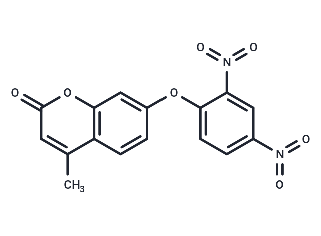 7-(2,4-Dinitrophenoxy)-4-methyl-2H-chromen-2-one