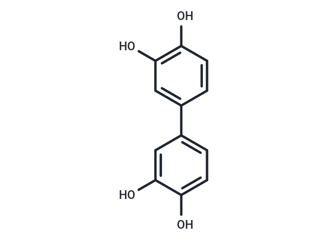 Biphenyl-3′,3,4,4′-tetrol