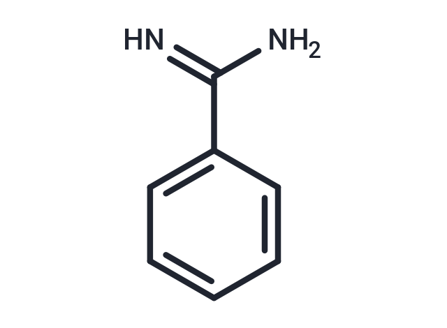 Benzamidine