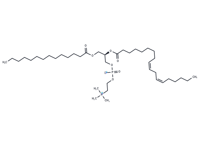 1-Myristoyl-2-Linoleoyl-sn-glycero-3-PC