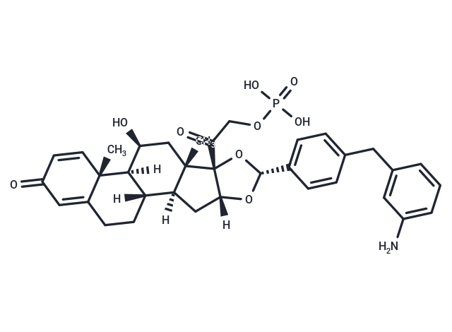 Glucocorticoid receptor drug-linke 1