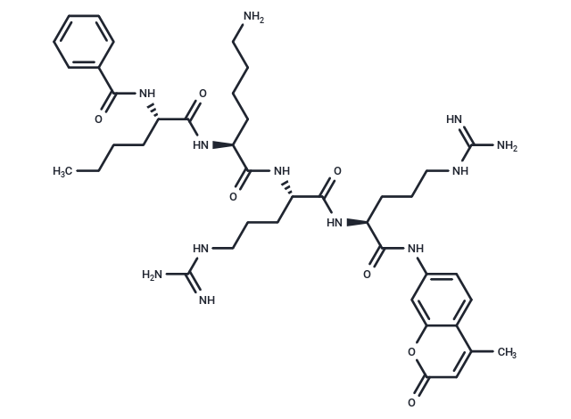 Bz-Nle-Lys-Arg-Arg-AMC