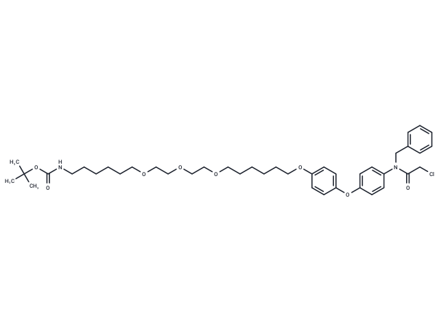 CCW16-C6-PEG3-butyl-BocNH