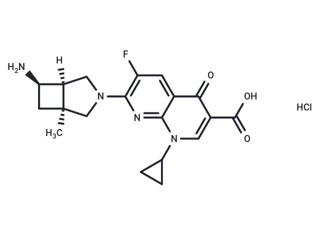 Ecenofloxacin HCl
