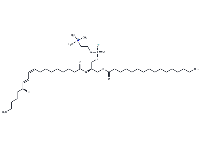 1-Palmitoyl-2-13(S)-HODE-sn-glycero-3-PC