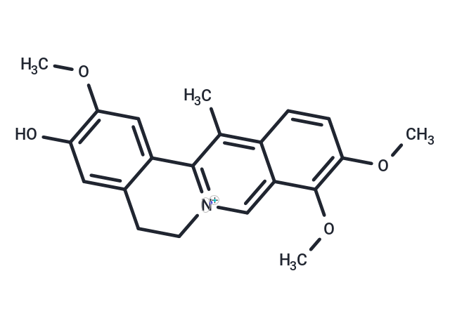 Dehydrocorybulbine chloride