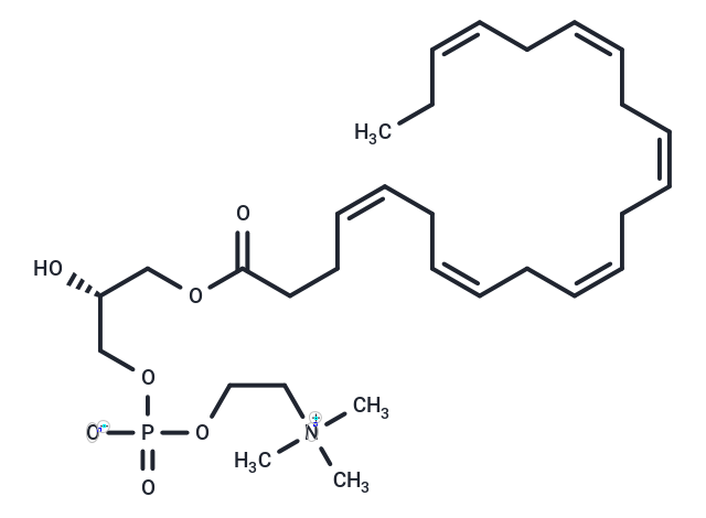 1-Docosahexaenoyl-sn-glycero-3-phosphocholine