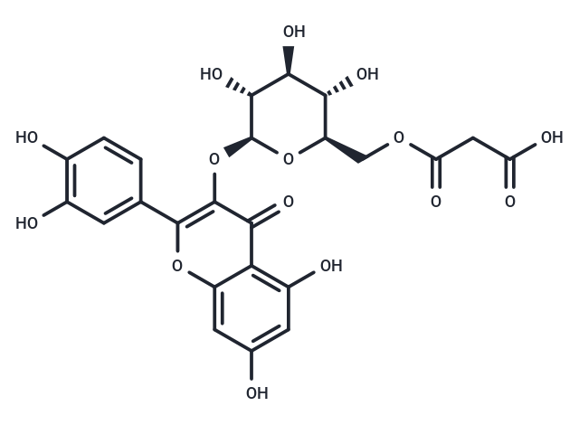 Quercetin 3-O-malonylglucoside